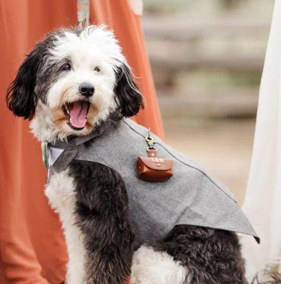 Personalized Full Grain Leather Ring Box | Perfect Ring Box for Dog 