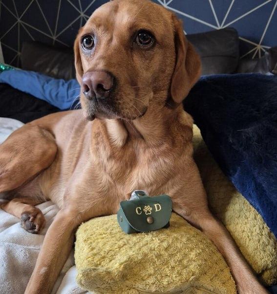 Personalized Full Grain Leather Ring Box | Perfect Ring Box for Dog Ring Bearer